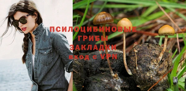 альфа пвп Нея
