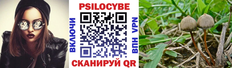 Псилоцибиновые грибы Magic Shrooms  Новосибирск 